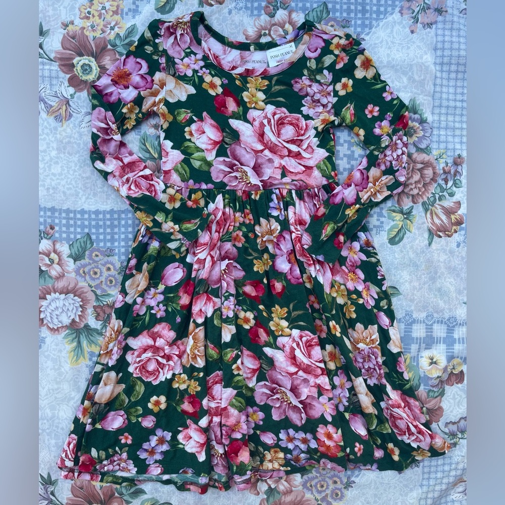 Posh Peanut Long Sleeve Floral Dress 5T